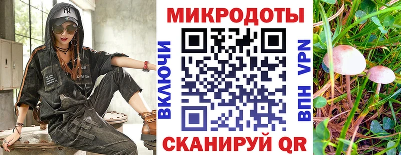Псилоцибиновые грибы Psilocybe  Александровск 
